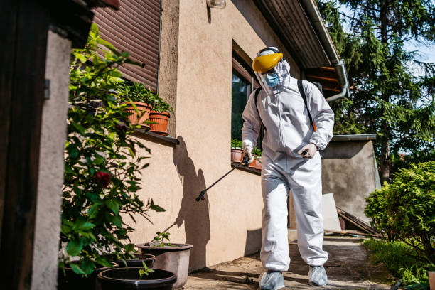  Hattiesburg, MS Pest Control Pros