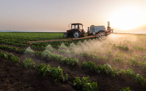 Insect Control in Hattiesburg, MS