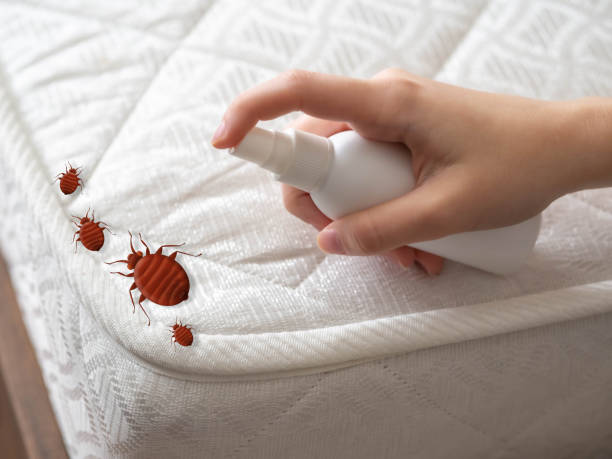 Best Pest Control Near Me  in Hattiesburg, MS