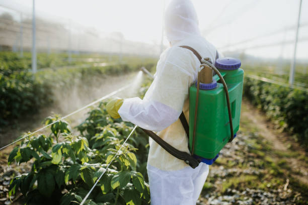 Best Mosquito Control Services  in Hattiesburg, MS